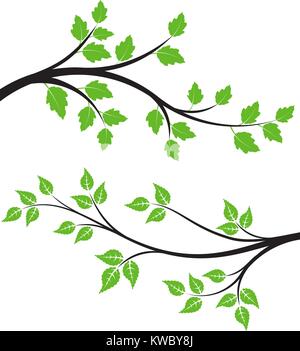 Paar grüne Blumen Zweige mit Blättern für Ihre Konstruktion. Stock Vektor