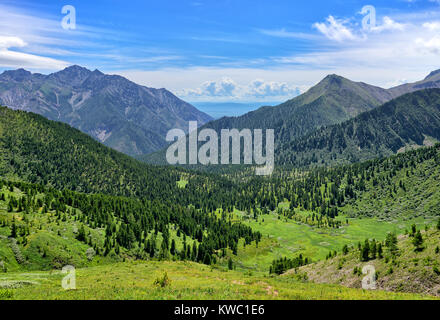 Weiten Blick über Tal mit seltenen Wald und grüne Almwiesen. Tunkinsky National Park. Ostsajan. Russland Stockfoto