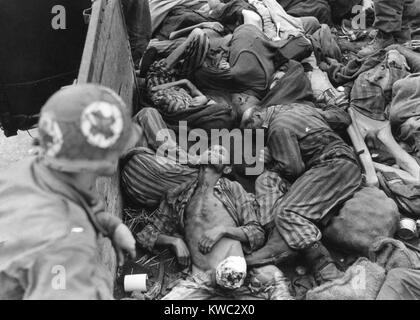 7 US Army Medical Corpsman schaut in Zug Auto mit Erschlagenen oder ausgehungerten Gefangenen gefüllt. Wie Nazideutschland im März 1945 zusammenbrach, SS-Wachen lieferte diese Gremien zu Dachau für die Einäscherung. Viele SS-Wachen im Lager, wie der US-Armee im April 1945 näherte sich verlassen. Weltkrieg 2 (BSLOC 2015 13 13) Stockfoto