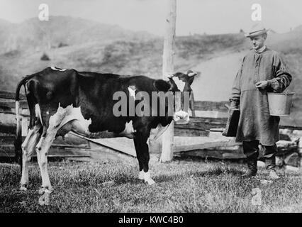 Calvin Coolidge trägt einen Kittel und Stiefel aus Leder, Ansätze eine Milchkuh. Zukunft Präsident einen Eimer und Melken Hocker auf der Farm seines Vaters in Plymouth, Massachusetts. Ca. 1920-23. (BSLOC 2015 15 158) Stockfoto