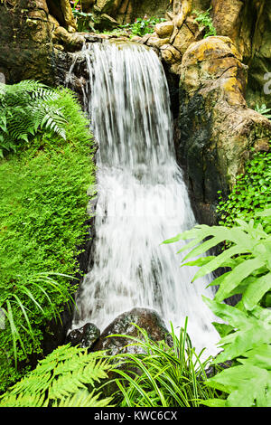 Schönheit kleiner Wasserfall in den tiefen Dschungel Stockfoto