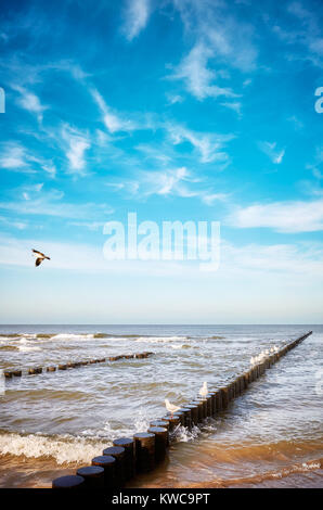 Alte hölzerne groyne am Strand, ruhige natürliche Hintergrund. Stockfoto