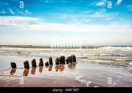 Alte hölzerne groyne am Strand, ruhige natürliche Hintergrund. Stockfoto