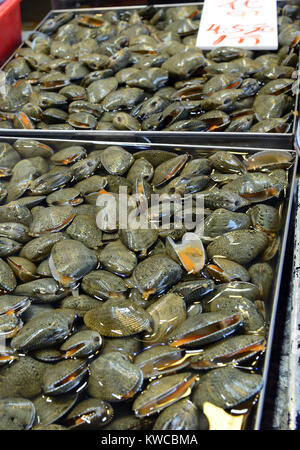 Street Food mit frischem Fisch und Meeresfrüchten für Verkauf an den asiatischen Markt in Hongkong, China Stockfoto