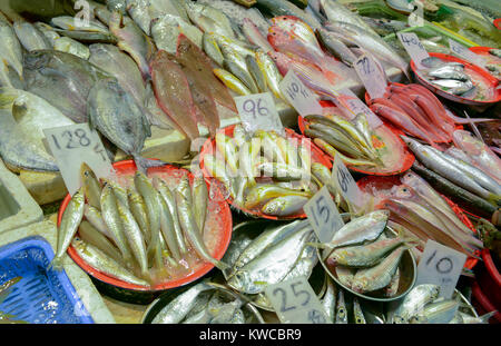 Street Food mit frischem Fisch und Meeresfrüchten für Verkauf an den asiatischen Markt in Hongkong, China Stockfoto