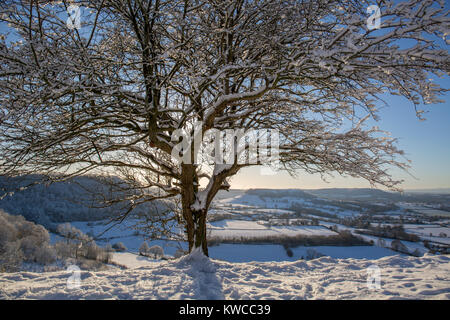 Die Aussicht von Coaley Peak Cam Lange nach Schneefall, Gloucestershire, VEREINIGTES KÖNIGREICH Stockfoto