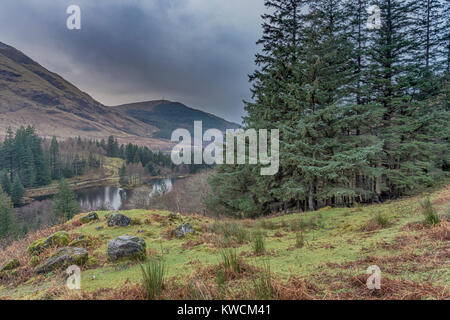 Mit Blick auf Torren Lochan aus den unteren Hängen des Sgorr nam Fiannaidh im Glen Coe. Stockfoto