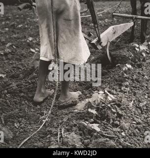 Alabama Pflug Mädchen, in der Nähe von Eutaw, Alabama, 1936, von Dorothea Lange. Die barfüßigen womans Sicherheitsanfälligkeit Härte durch die rauhen Boden hervorgehoben, und die scharfen Bogen des einzelnen Blade Grubber. Sie hat schwere Arbeit. Schieben und Ziehen in die Koordinierung zu Blades mit der Vorwärtsbewegung des Mule (BSLOC 2017 20 94) Stockfoto