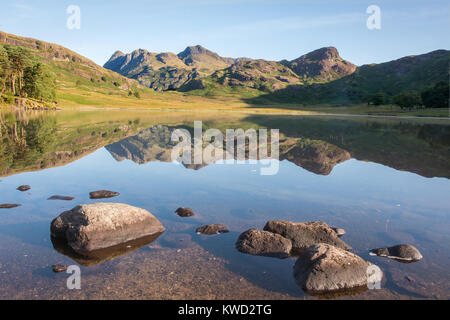 Blea Tarn und Langdale Pikes Cumbria Lake District in England im Sommer morgens mit Sonne und Reflexionen mit Steinen in den Vordergrund Stockfoto