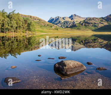 Blea Tarn und Langdale Pikes Cumbria Lake District in England im Sommer morgens mit Sonne und Reflexionen mit Steinen in den Vordergrund Stockfoto