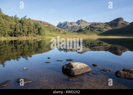 Blea Tarn und Langdale Pikes Cumbria Lake District in England im Sommer morgens mit Sonne und Reflexionen mit Steinen in den Vordergrund Stockfoto