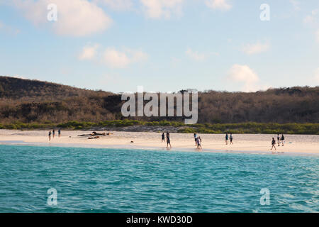 Galapagos Strand - Touristen und Seelöwen auf Gardner Bay, Espanola Island (Haube Insel), Galapagos, Ecuador Südamerika Stockfoto