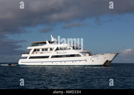 Galapagos Kreuzfahrt Schiff - der 'Domenica" hat 16 Touristen um die Galapagosinseln, Ecuador Südamerika Stockfoto