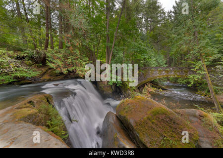 Neben dem Wasserfall in Whatcom Falls Park in Bellingham Washington State Stockfoto