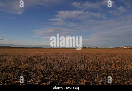 Blick über Stoppeln Feld Hempstead, Lessingham, Norfolk Decemberview Stockfoto