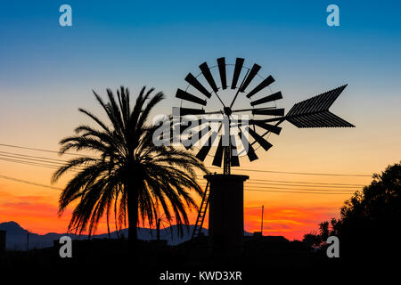 Windmühle und Palme auf der Landschaft auf Mallorca bei Sonnenuntergang Stockfoto