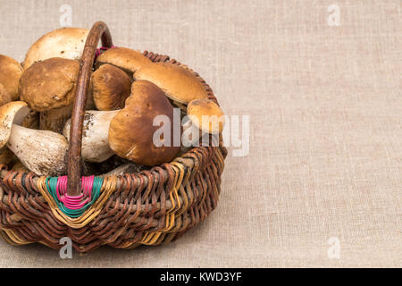 Gruppe von Steinpilzen Pilze auf Leinen. CEP-Pilze in den Korb Stockfoto