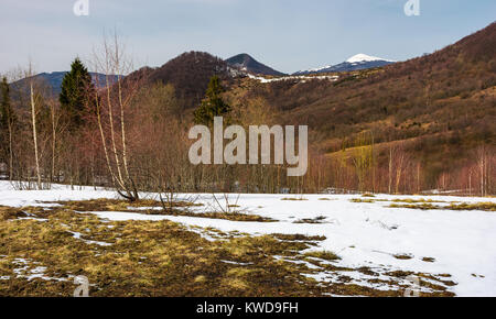Der Frühling kommt zu verschneiten Berg. gemischter Wald am Hang mit Schnee und verwitterten Gras. schneebedeckten Gipfel des Berges in einem Abstand gesehen wird, Stockfoto