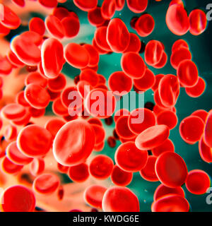 Rote Blutkörperchen Probe bestreichen, schwebenden im Plasma, Mikroskopie stilisiert, 3D-Darstellung Stockfoto