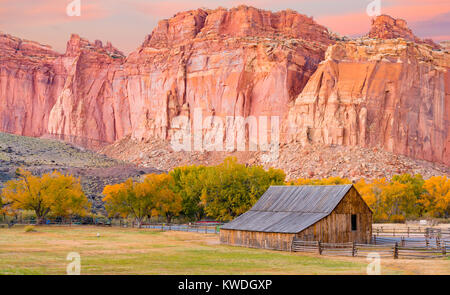 Historische Gifford Scheune entlang der Fremont River im Capitol Reef National Park, Utah Stockfoto