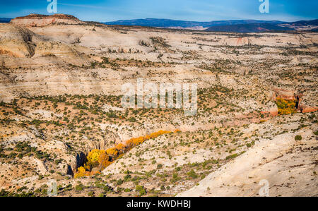 Die atemberaubende und einzigartige Landschaft des Grand Staircase-Escalante National Monument in Utah Stockfoto