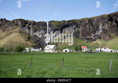 Die vulkanischen STRAND IN DER NÄHE VON VIK ist dramatisch und spannend. Stockfoto