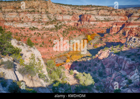 Die atemberaubende und einzigartige Landschaft des Grand Staircase-Escalante National Monument in Utah Stockfoto