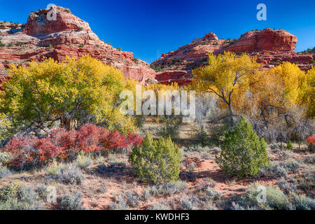 Die atemberaubende und einzigartige Landschaft des Grand Staircase-Escalante National Monument in Utah Stockfoto