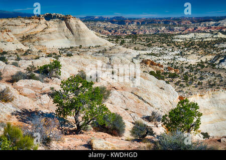 Die atemberaubende und einzigartige Landschaft des Grand Staircase-Escalante National Monument in Utah Stockfoto