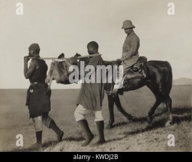 Theodore Roosevelt Fahrten neben afrikanischen Torhüter Durchführung eines Lion Haut zurück zum Camp, June-Dec. 1909. Es wurde gesammelt, die für die smithsonians Natural History Museum (BSLOC 2017 8 7) Stockfoto