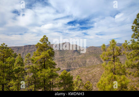 Im Landesinneren Gran Canaria Naturschutzgebiet Pilancones, sonnigen Tag im Dezember Stockfoto