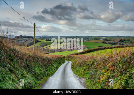 Eine ländliche Cornish Feldweg im Winter durch traditionelle Bronze und grüne Hecke führt Sie in den grünen Feldern und Wäldern umschlossen Ackerland Stockfoto