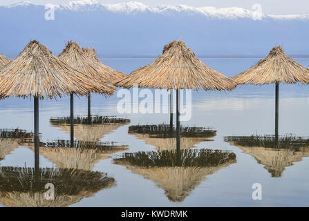 Überflutet reed Sonnenschirme nach einem schweren Regen und schmilzt der Schnee Stockfoto