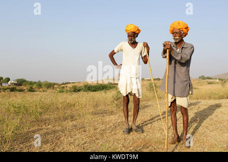 Zwei kamel Händler in orangefarbenen Turbanen mit ihren Herden weiden im Busch in der Nähe des jährlichen Pushkar Camel Fair, Pushkar, Rajasthan, Indien Stockfoto