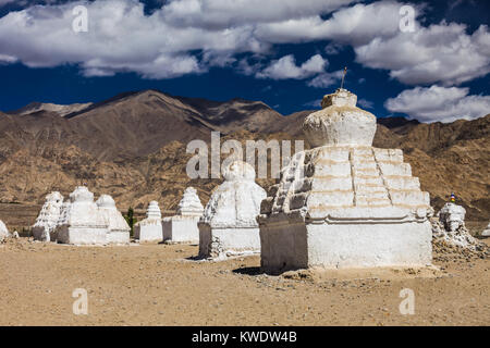 Viele Stupas in der Nähe von Shey Kloster in Ladakh, Indien. Stockfoto