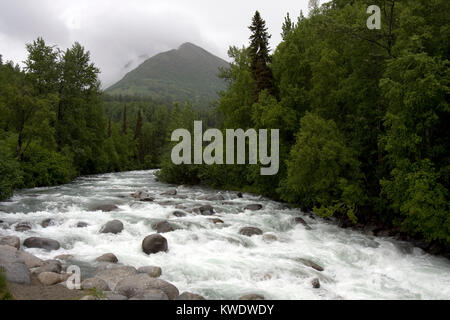 Running Wild wenig Susitna River am Angelhaken Straße, die Straße zum Hatcher Pass aus Weide, Alaska Stockfoto