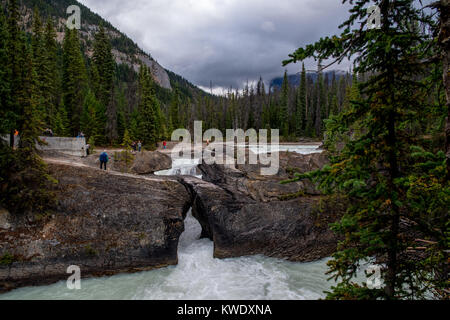 YOHO PARK, British Columbia/Kanada - 13. SEPTEMBER 2017: Natural Bridge Stockfoto