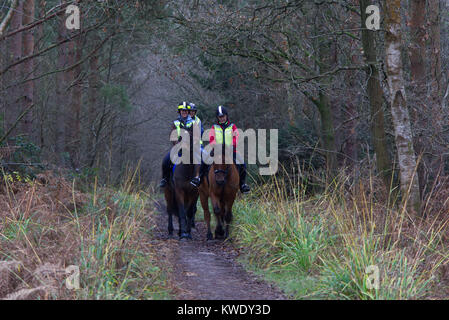 Frauen reiten Pferde durch Broxbourne Woods auf öffentlichen Fußweg, UK, Winter Stockfoto