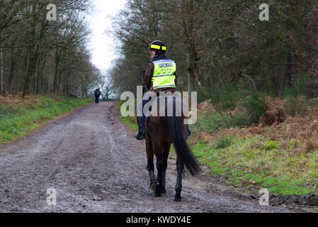 Frauen reiten Pferde durch Broxbourne Woods auf öffentlichen Fußweg, UK, Winter Stockfoto