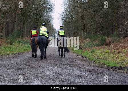 Frauen reiten Pferde durch Broxbourne Woods auf öffentlichen Fußweg, UK, Winter Stockfoto