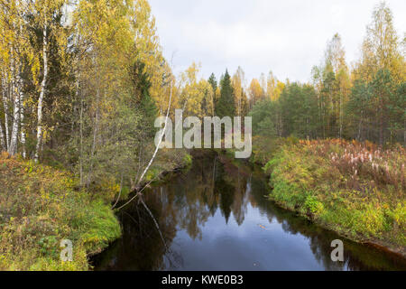 Herbst Landschaft mit dem Fluss in Kolenga Verkhovazhsky Bezirk, Vologda Region, Russland Stockfoto