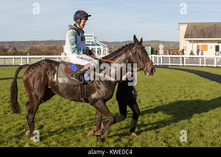 (Looksnowtlikebrian geritten von Richard Johnson) nach dem Gewinn der Celtic Energy Verfolgung bei Ffos Las, Carmarthenshire, Wales Stockfoto