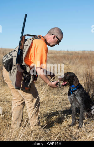 Eine Wachtel Jäger in Kansas auf einen späten Herbst Tag Stockfoto