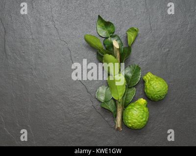 Bergamotte, kaffernlimette und Kaffernlimette Blatt mit Verzweigung auf dunklem Hintergrund als ingredint für asiatische Gerichte oder helath Produkt Stockfoto