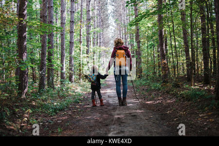 Ansicht der Rückseite des Mutter und Sohn mit Rucksack halten sich an den Händen und stehen auf Schotterstraße inmitten Wald Stockfoto