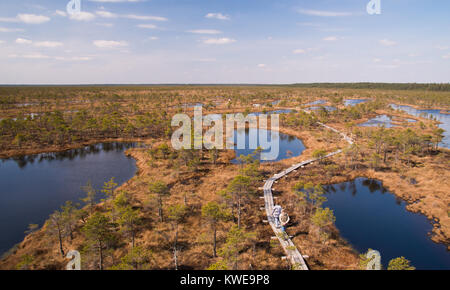 Einen Panoramablick auf Kemeri Sumpf an einem sonnigen Tag mit mehreren Teichen und Holz- Pfad zwischen Ihnen und ein paar wenige. Stockfoto