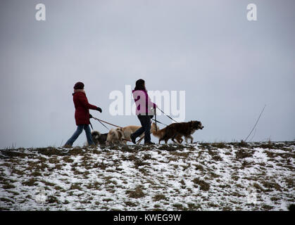 Hund Wanderer silhouetted auf Ridge auf Fraser River Deich, British Columbia. Stockfoto