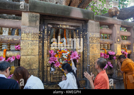 Die Pilger beten im Heiligtum neben dem Bodhi-baum (wo der Buddha sagte zur Erleuchtung erlangt haben) an der Mahabodhi Tempel in Bodhgaya, Indien Stockfoto