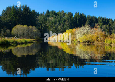 Beaver Creek, Brian stand State Park, Oregon Stockfoto