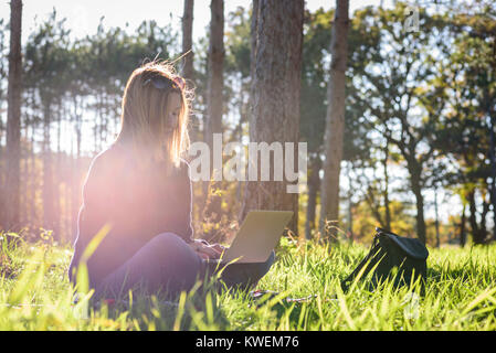 Frau im Park sitzt mit Laptop auf einem sonnigen Herbst Tag Stockfoto